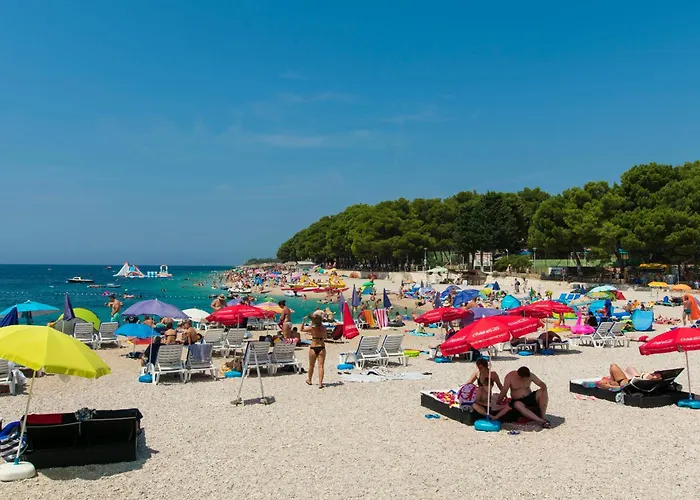 Apartment And Janja Primosten