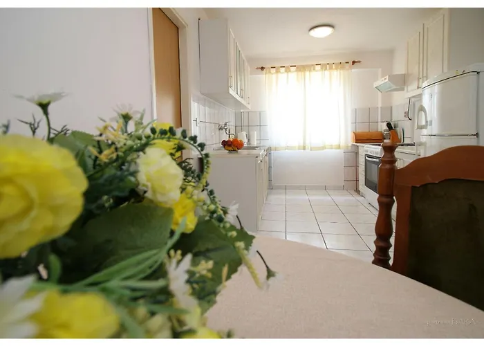 And Janja Primošten